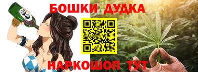 индика Кизляр