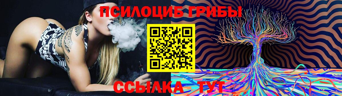 Псилоцибиновые грибы Cubensis Боровичи