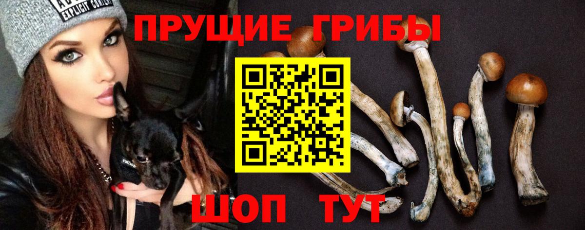 Псилоцибиновые грибы ЛСД  Псилоцибиновые грибы MAGIC MUSHROOMS  Вход с VPN  Боровичи 